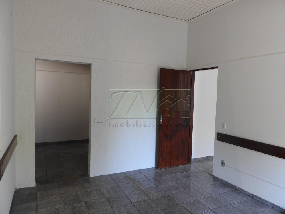 Alugar Casas / Residencial em Santa Cruz do Rio Pardo apenas R$ 1.300,00 - Foto 4 Alugar Casas / Residencial em Santa Cruz do Rio Pardo apenas R$ 1.300,00 - Foto 4