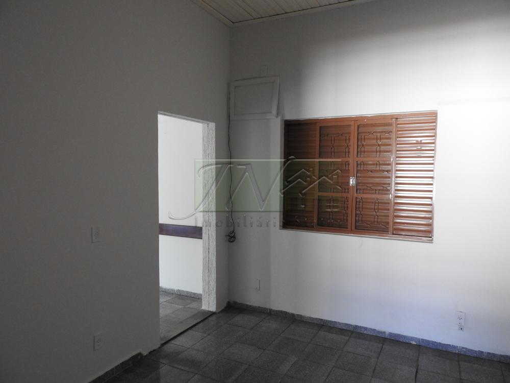 Alugar Casas / Residencial em Santa Cruz do Rio Pardo apenas R$ 1.300,00 - Foto 6 Alugar Casas / Residencial em Santa Cruz do Rio Pardo apenas R$ 1.300,00 - Foto 6