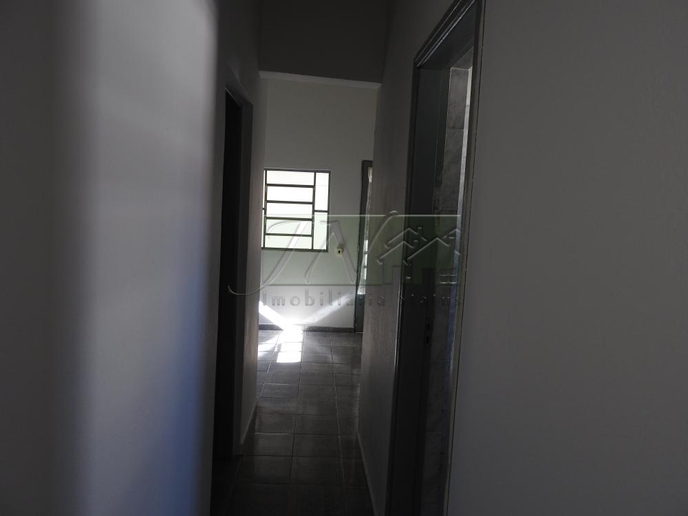 Alugar Casas / Residencial em Santa Cruz do Rio Pardo apenas R$ 1.300,00 - Foto 8 Alugar Casas / Residencial em Santa Cruz do Rio Pardo apenas R$ 1.300,00 - Foto 8