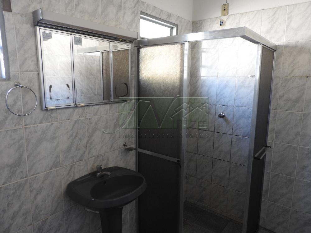 Alugar Casas / Residencial em Santa Cruz do Rio Pardo apenas R$ 1.300,00 - Foto 9 Alugar Casas / Residencial em Santa Cruz do Rio Pardo apenas R$ 1.300,00 - Foto 9