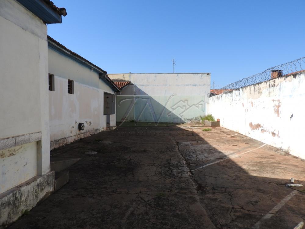 Alugar Casas / Residencial em Santa Cruz do Rio Pardo apenas R$ 1.300,00 - Foto 14 Alugar Casas / Residencial em Santa Cruz do Rio Pardo apenas R$ 1.300,00 - Foto 14