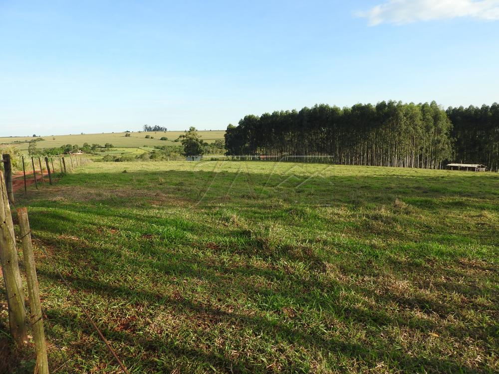 Alugar Terrenos / Lote em Santa Cruz do Rio Pardo apenas R$ 235,00 - Foto 3 Alugar Terrenos / Lote em Santa Cruz do Rio Pardo apenas R$ 235,00 - Foto 3