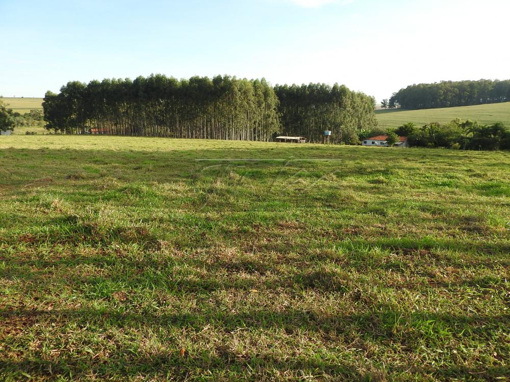 Alugar Terrenos / Lote em Santa Cruz do Rio Pardo apenas R$ 235,00 - Foto 4 Alugar Terrenos / Lote em Santa Cruz do Rio Pardo apenas R$ 235,00 - Foto 4
