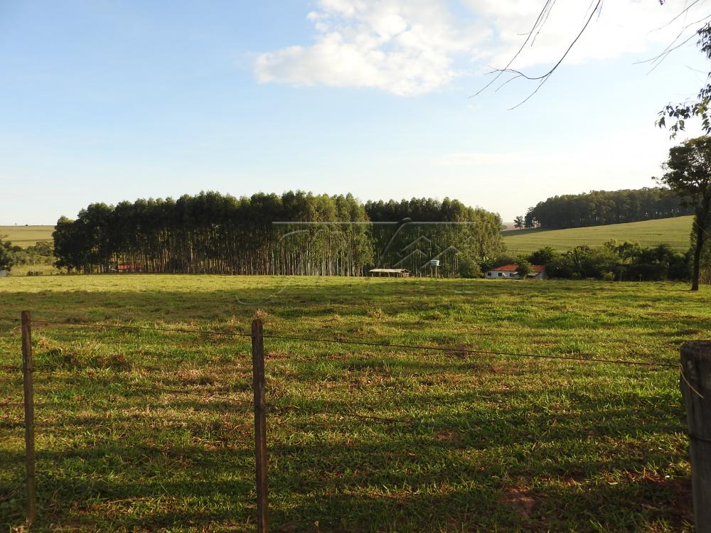 Alugar Terrenos / Lote em Santa Cruz do Rio Pardo apenas R$ 235,00 - Foto 6 Alugar Terrenos / Lote em Santa Cruz do Rio Pardo apenas R$ 235,00 - Foto 6