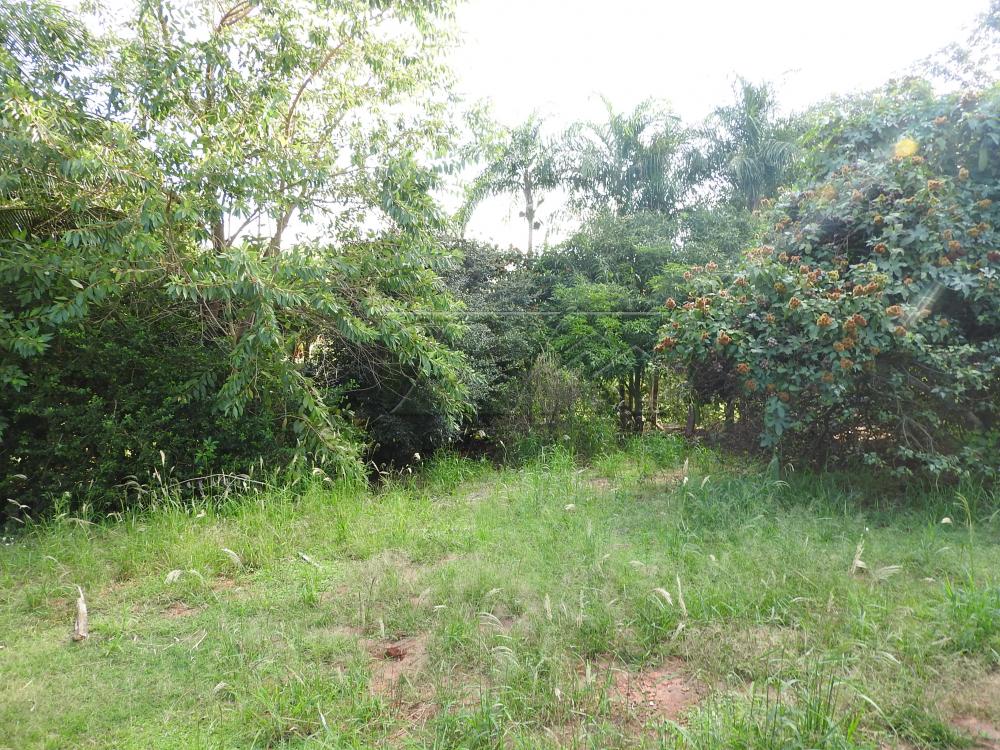 Alugar Terrenos / Lote em Santa Cruz do Rio Pardo apenas R$ 235,00 - Foto 8 Alugar Terrenos / Lote em Santa Cruz do Rio Pardo apenas R$ 235,00 - Foto 8