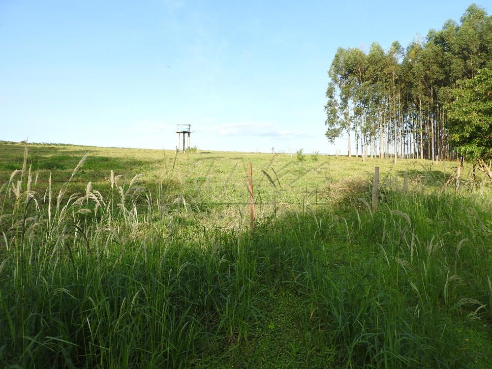 Alugar Terrenos / Lote em Santa Cruz do Rio Pardo apenas R$ 235,00 - Foto 10 Alugar Terrenos / Lote em Santa Cruz do Rio Pardo apenas R$ 235,00 - Foto 10
