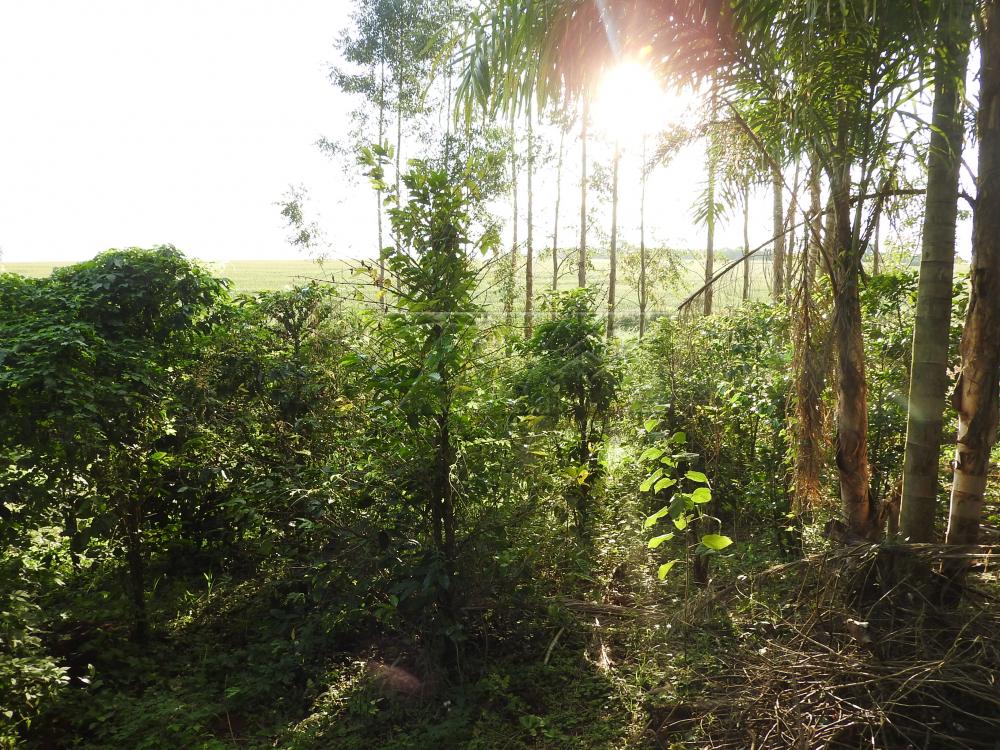 Alugar Terrenos / Lote em Santa Cruz do Rio Pardo apenas R$ 235,00 - Foto 12 Alugar Terrenos / Lote em Santa Cruz do Rio Pardo apenas R$ 235,00 - Foto 12