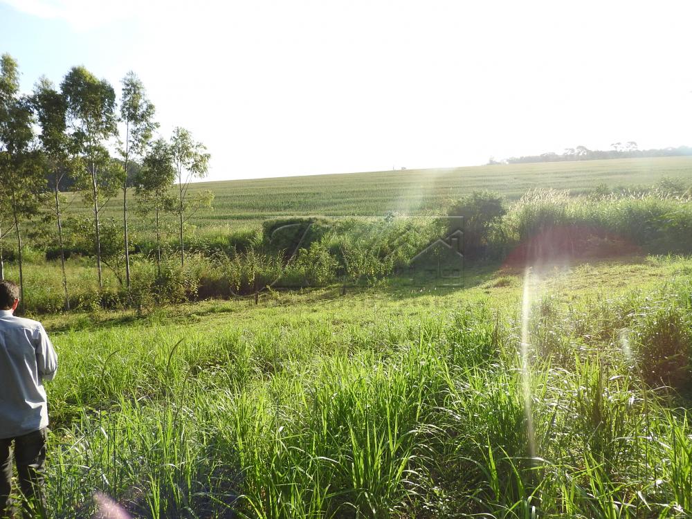 Alugar Terrenos / Lote em Santa Cruz do Rio Pardo apenas R$ 235,00 - Foto 14 Alugar Terrenos / Lote em Santa Cruz do Rio Pardo apenas R$ 235,00 - Foto 14