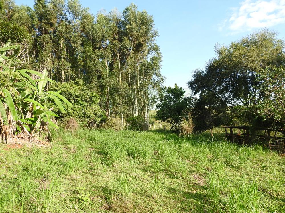 Alugar Terrenos / Lote em Santa Cruz do Rio Pardo apenas R$ 235,00 - Foto 16 Alugar Terrenos / Lote em Santa Cruz do Rio Pardo apenas R$ 235,00 - Foto 16