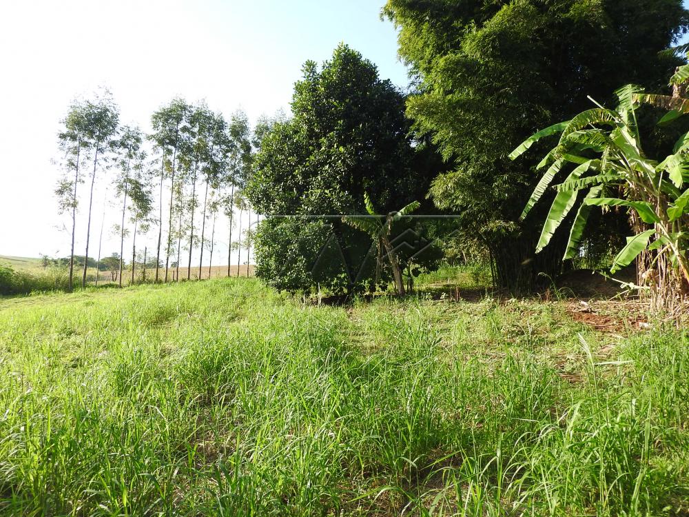 Alugar Terrenos / Lote em Santa Cruz do Rio Pardo apenas R$ 235,00 - Foto 17 Alugar Terrenos / Lote em Santa Cruz do Rio Pardo apenas R$ 235,00 - Foto 17