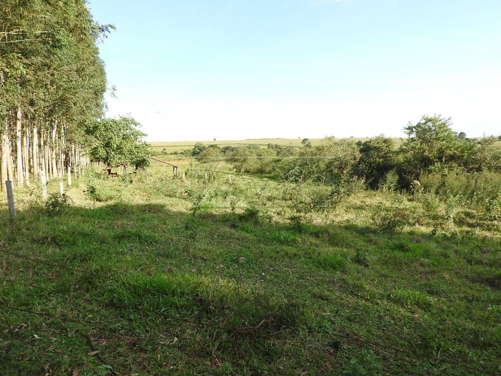 Alugar Terrenos / Lote em Santa Cruz do Rio Pardo apenas R$ 235,00 - Foto 18 Alugar Terrenos / Lote em Santa Cruz do Rio Pardo apenas R$ 235,00 - Foto 18