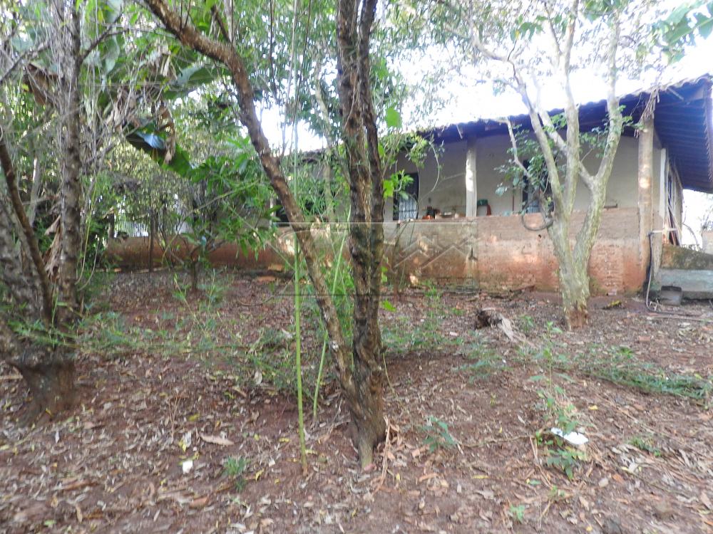Alugar Terrenos / Lote em Santa Cruz do Rio Pardo apenas R$ 235,00 - Foto 21 Alugar Terrenos / Lote em Santa Cruz do Rio Pardo apenas R$ 235,00 - Foto 21