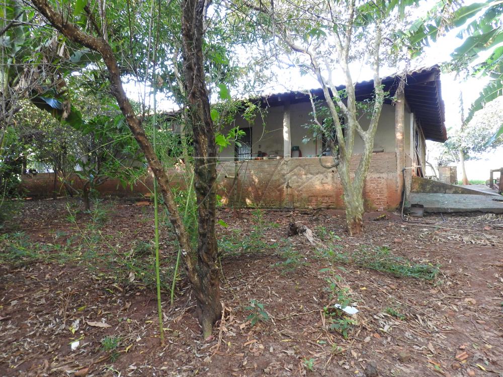 Alugar Terrenos / Lote em Santa Cruz do Rio Pardo apenas R$ 235,00 - Foto 22 Alugar Terrenos / Lote em Santa Cruz do Rio Pardo apenas R$ 235,00 - Foto 22