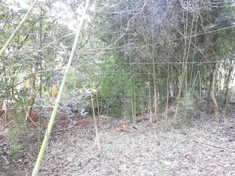 Alugar Terrenos / Lote em Santa Cruz do Rio Pardo apenas R$ 235,00 - Foto 23 Alugar Terrenos / Lote em Santa Cruz do Rio Pardo apenas R$ 235,00 - Foto 23