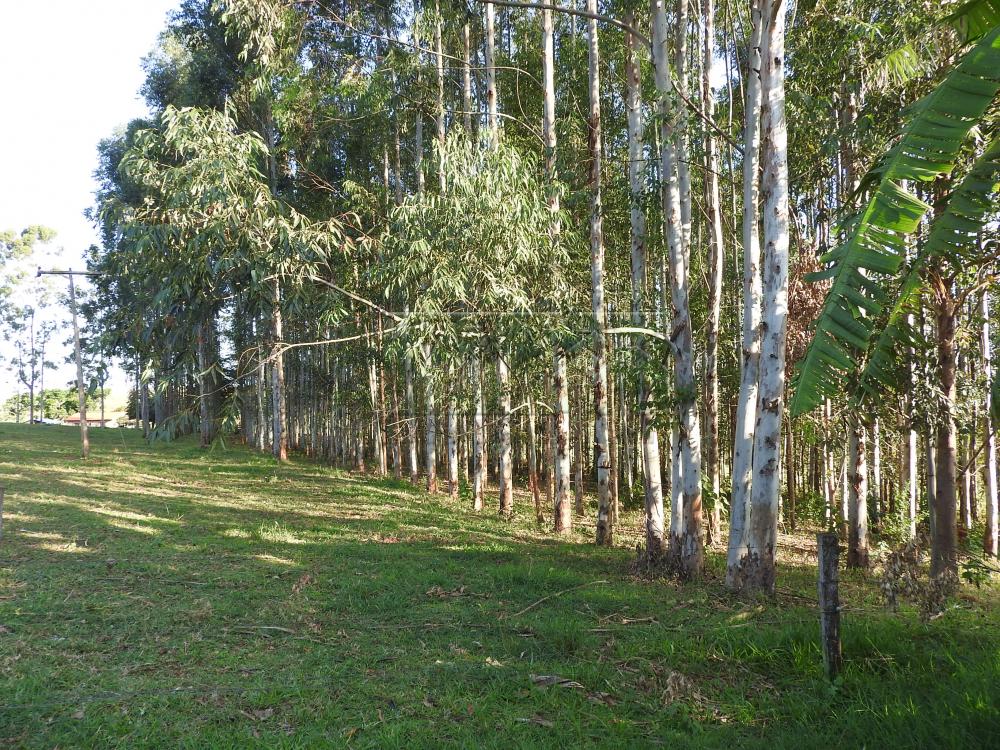Alugar Terrenos / Lote em Santa Cruz do Rio Pardo apenas R$ 235,00 - Foto 24 Alugar Terrenos / Lote em Santa Cruz do Rio Pardo apenas R$ 235,00 - Foto 24