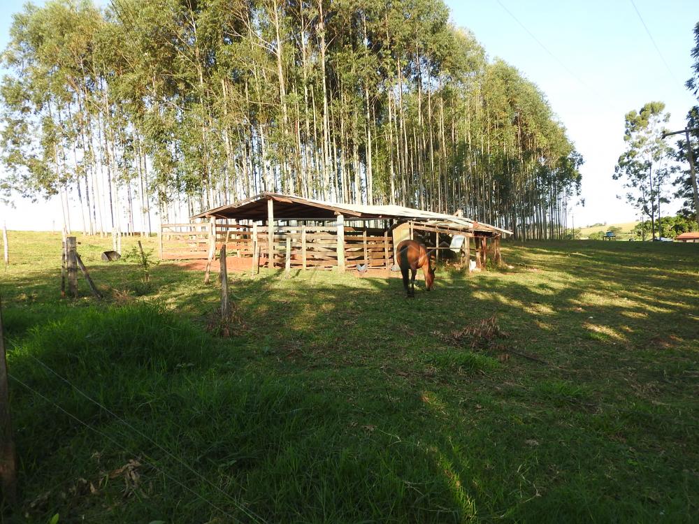 Alugar Terrenos / Lote em Santa Cruz do Rio Pardo apenas R$ 235,00 - Foto 25 Alugar Terrenos / Lote em Santa Cruz do Rio Pardo apenas R$ 235,00 - Foto 25