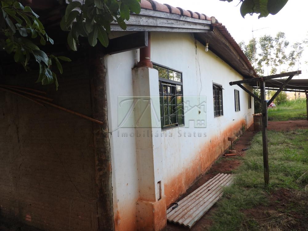 Alugar Terrenos / Lote em Santa Cruz do Rio Pardo apenas R$ 235,00 - Foto 26 Alugar Terrenos / Lote em Santa Cruz do Rio Pardo apenas R$ 235,00 - Foto 26