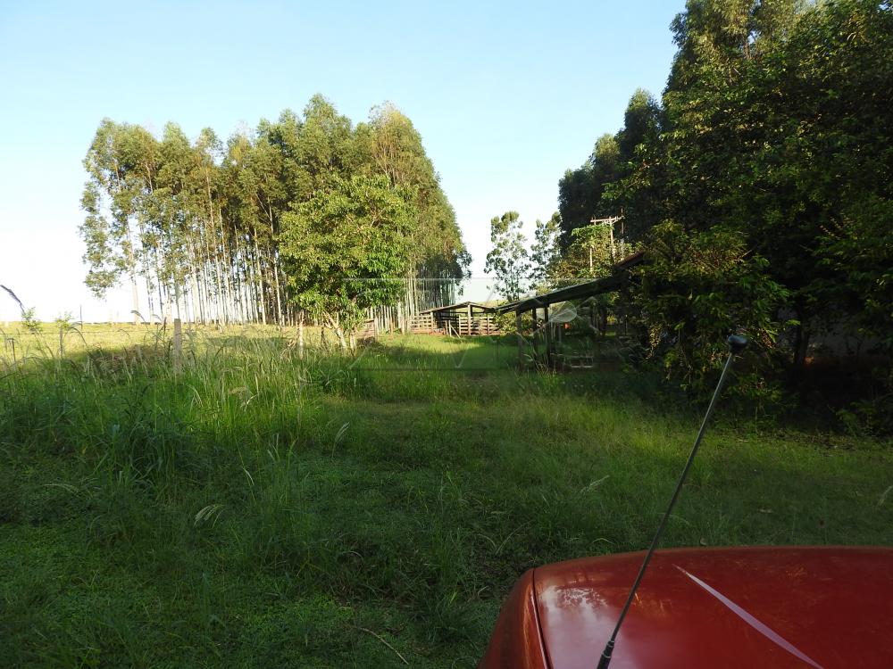Alugar Terrenos / Lote em Santa Cruz do Rio Pardo apenas R$ 235,00 - Foto 29 Alugar Terrenos / Lote em Santa Cruz do Rio Pardo apenas R$ 235,00 - Foto 29