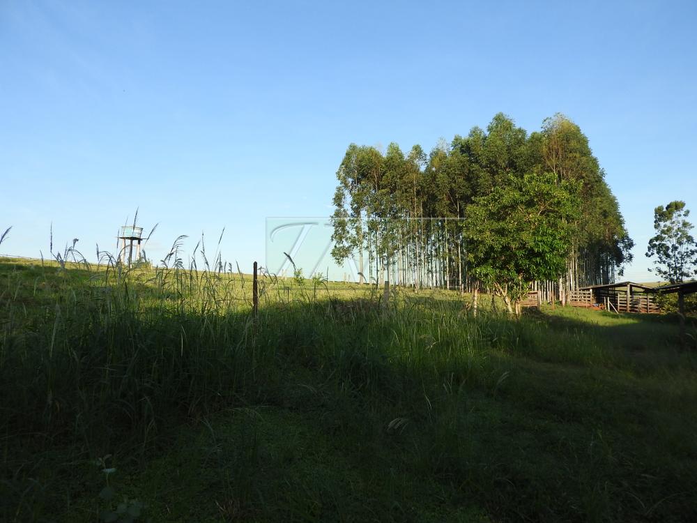 Alugar Terrenos / Lote em Santa Cruz do Rio Pardo apenas R$ 235,00 - Foto 30 Alugar Terrenos / Lote em Santa Cruz do Rio Pardo apenas R$ 235,00 - Foto 30