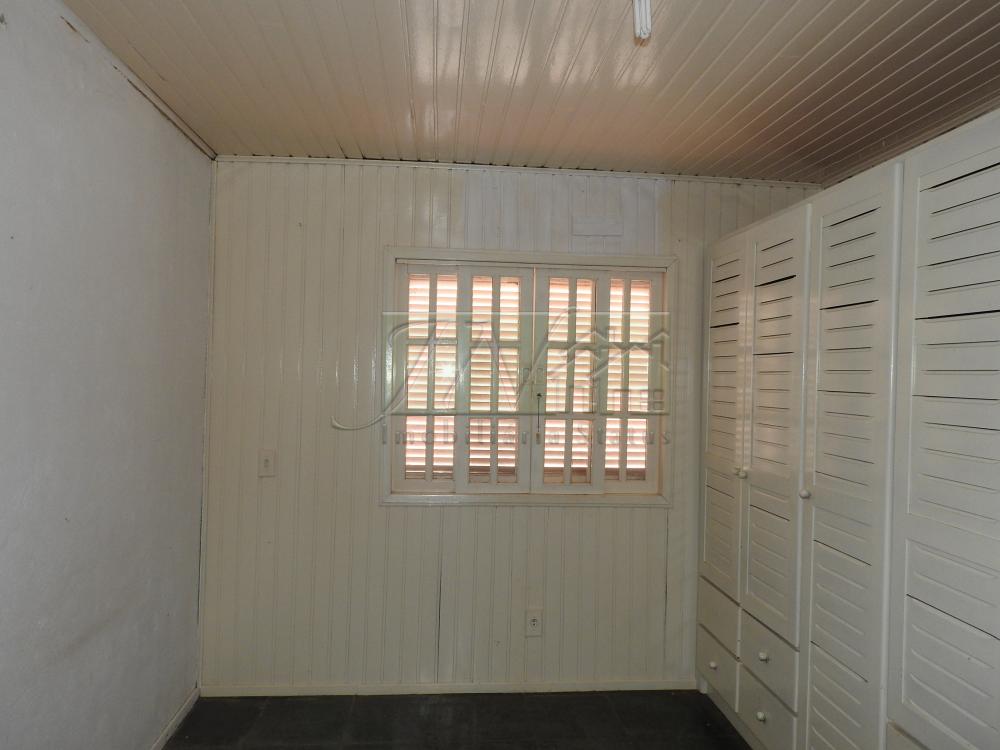 Alugar Casas / Residencial em Santa Cruz do Rio Pardo apenas R$ 3.000,00 - Foto 22 Alugar Casas / Residencial em Santa Cruz do Rio Pardo apenas R$ 3.000,00 - Foto 22