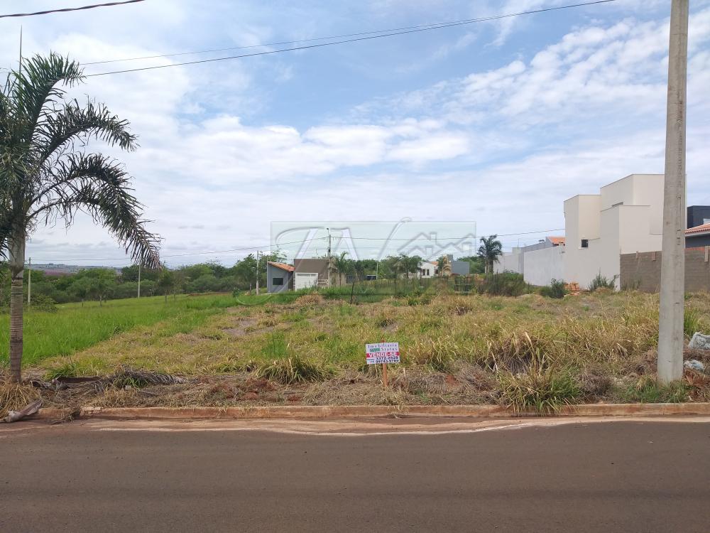 Comprar Terrenos / Lote em Santa Cruz do Rio Pardo R$ 100.000,00 - Foto 1