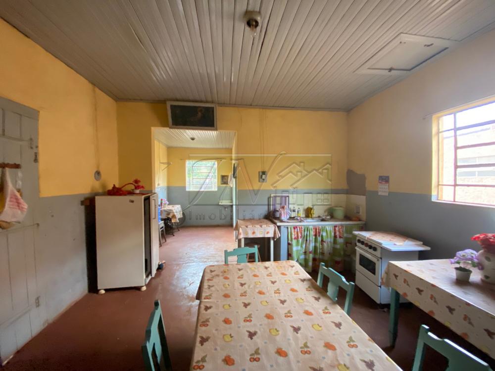 Comprar Residenciais / Casas em Ipaussu R$ 600.000,00 - Foto 13