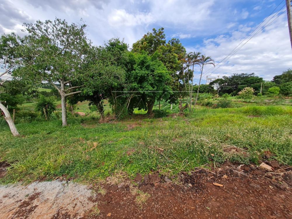 Comprar Terrenos / Lote em Santa Cruz do Rio Pardo R$ 250.000,00 - Foto 8