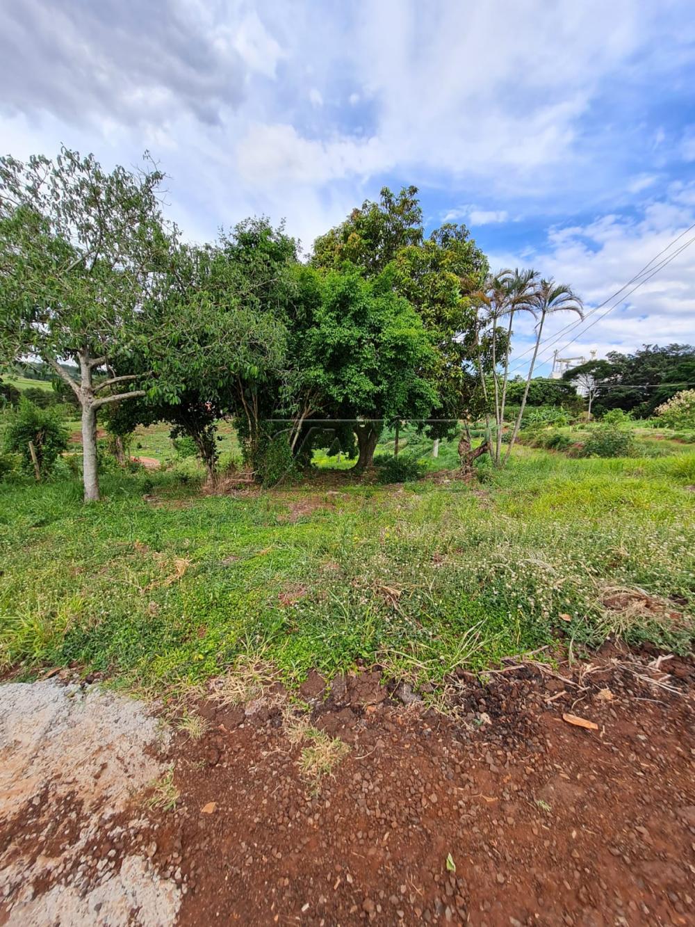 Comprar Terrenos / Lote em Santa Cruz do Rio Pardo R$ 250.000,00 - Foto 10