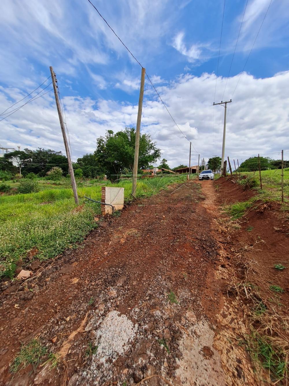 Comprar Terrenos / Lote em Santa Cruz do Rio Pardo R$ 250.000,00 - Foto 16