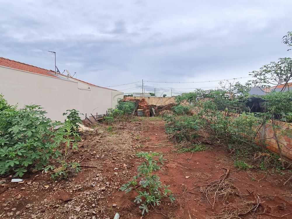 Comprar Terrenos / Lote em Santa Cruz do Rio Pardo R$ 100.000,00 - Foto 4