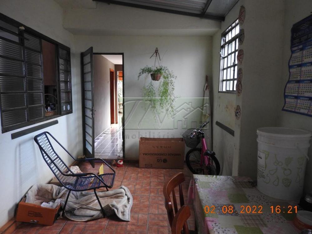 Comprar Residenciais / Casas em Santa Cruz do Rio Pardo R$ 320.000,00 - Foto 15