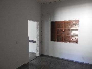 Alugar Casas / Residencial em Santa Cruz do Rio Pardo apenas R$ 1.300,00 - Foto 6 Alugar Casas / Residencial em Santa Cruz do Rio Pardo apenas R$ 1.300,00 - Foto 6
