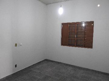 Alugar Casas / Residencial em Santa Cruz do Rio Pardo apenas R$ 1.300,00 - Foto 10 Alugar Casas / Residencial em Santa Cruz do Rio Pardo apenas R$ 1.300,00 - Foto 10