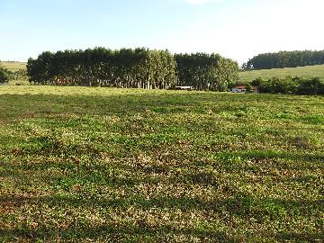 Alugar Terrenos / Lote em Santa Cruz do Rio Pardo apenas R$ 235,00 - Foto 4 Alugar Terrenos / Lote em Santa Cruz do Rio Pardo apenas R$ 235,00 - Foto 4