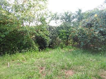 Alugar Terrenos / Lote em Santa Cruz do Rio Pardo apenas R$ 235,00 - Foto 8 Alugar Terrenos / Lote em Santa Cruz do Rio Pardo apenas R$ 235,00 - Foto 8