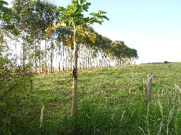 Alugar Terrenos / Lote em Santa Cruz do Rio Pardo apenas R$ 235,00 - Foto 9 Alugar Terrenos / Lote em Santa Cruz do Rio Pardo apenas R$ 235,00 - Foto 9