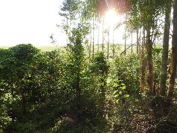 Alugar Terrenos / Lote em Santa Cruz do Rio Pardo apenas R$ 235,00 - Foto 12 Alugar Terrenos / Lote em Santa Cruz do Rio Pardo apenas R$ 235,00 - Foto 12