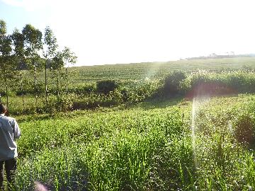 Alugar Terrenos / Lote em Santa Cruz do Rio Pardo apenas R$ 235,00 - Foto 14 Alugar Terrenos / Lote em Santa Cruz do Rio Pardo apenas R$ 235,00 - Foto 14