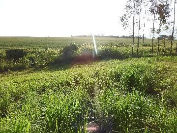Alugar Terrenos / Lote em Santa Cruz do Rio Pardo apenas R$ 235,00 - Foto 15 Alugar Terrenos / Lote em Santa Cruz do Rio Pardo apenas R$ 235,00 - Foto 15