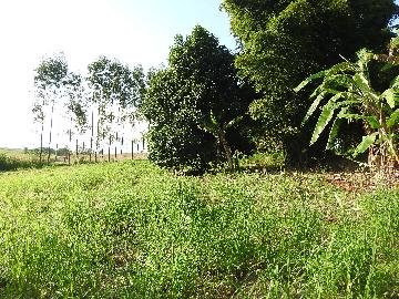 Alugar Terrenos / Lote em Santa Cruz do Rio Pardo apenas R$ 235,00 - Foto 17 Alugar Terrenos / Lote em Santa Cruz do Rio Pardo apenas R$ 235,00 - Foto 17