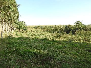 Alugar Terrenos / Lote em Santa Cruz do Rio Pardo apenas R$ 235,00 - Foto 18 Alugar Terrenos / Lote em Santa Cruz do Rio Pardo apenas R$ 235,00 - Foto 18