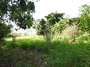 Alugar Terrenos / Lote em Santa Cruz do Rio Pardo apenas R$ 235,00 - Foto 19 Alugar Terrenos / Lote em Santa Cruz do Rio Pardo apenas R$ 235,00 - Foto 19