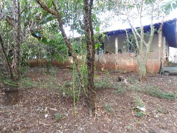 Alugar Terrenos / Lote em Santa Cruz do Rio Pardo apenas R$ 235,00 - Foto 21 Alugar Terrenos / Lote em Santa Cruz do Rio Pardo apenas R$ 235,00 - Foto 21