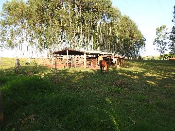 Alugar Terrenos / Lote em Santa Cruz do Rio Pardo apenas R$ 235,00 - Foto 25 Alugar Terrenos / Lote em Santa Cruz do Rio Pardo apenas R$ 235,00 - Foto 25