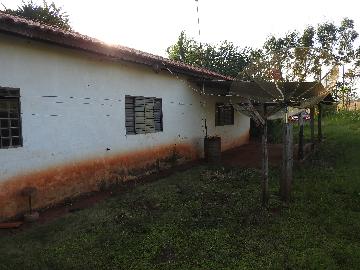 Alugar Terrenos / Lote em Santa Cruz do Rio Pardo apenas R$ 235,00 - Foto 28 Alugar Terrenos / Lote em Santa Cruz do Rio Pardo apenas R$ 235,00 - Foto 28