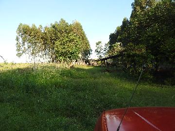 Alugar Terrenos / Lote em Santa Cruz do Rio Pardo apenas R$ 235,00 - Foto 29 Alugar Terrenos / Lote em Santa Cruz do Rio Pardo apenas R$ 235,00 - Foto 29