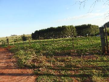 Alugar Terrenos / Lote em Santa Cruz do Rio Pardo apenas R$ 235,00 - Foto 31 Alugar Terrenos / Lote em Santa Cruz do Rio Pardo apenas R$ 235,00 - Foto 31