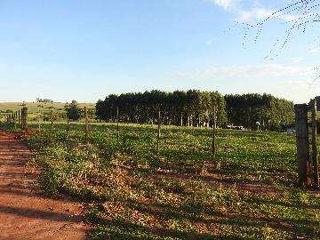 Alugar Terrenos / Lote em Santa Cruz do Rio Pardo apenas R$ 235,00 - Foto 32 Alugar Terrenos / Lote em Santa Cruz do Rio Pardo apenas R$ 235,00 - Foto 32
