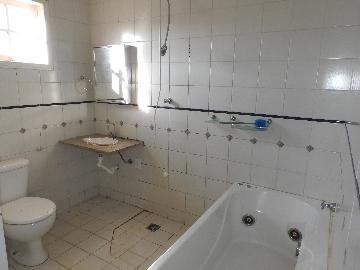 Alugar Casas / Residencial em Santa Cruz do Rio Pardo apenas R$ 3.000,00 - Foto 15 Alugar Casas / Residencial em Santa Cruz do Rio Pardo apenas R$ 3.000,00 - Foto 15