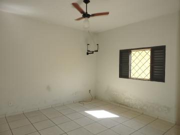 Alugar Residenciais / Casas em Santa Cruz do Rio Pardo R$ 900,00 - Foto 11